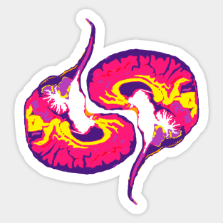 Two Colorful Brain Scan Images with Brainstems Sticker